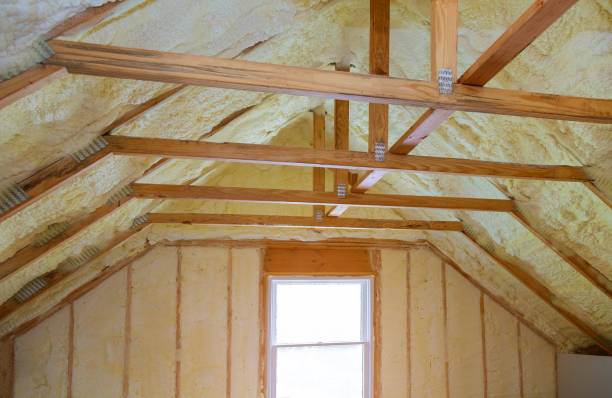 Best Specialized Insulation Services in Dickinson, TX