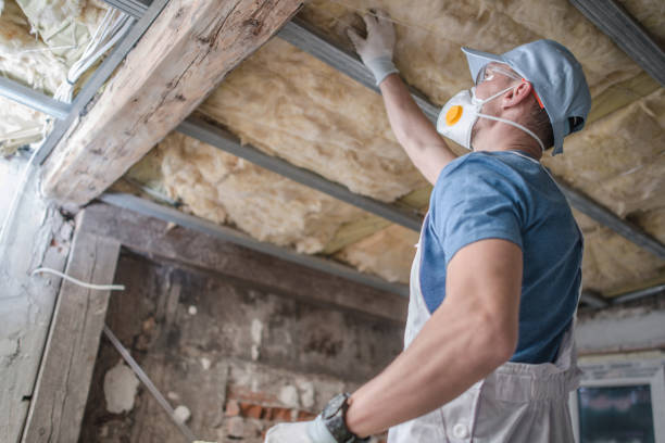 Best Commercial Insulation in Dickinson, TX