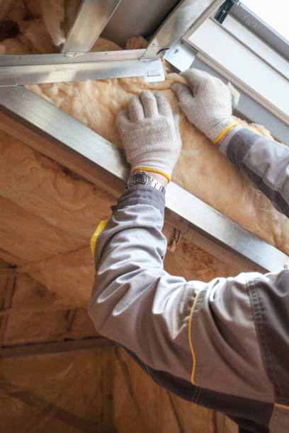 Types of Insulation We Offer in Dickinson, TX
