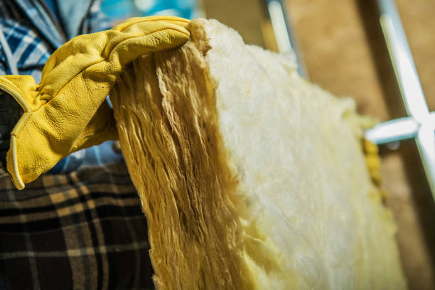 Best Cellulose Insulation in Dickinson, TX
